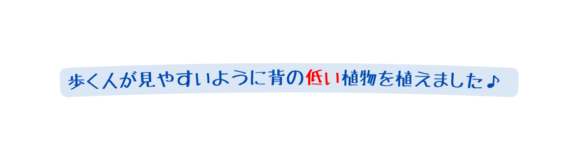 歩く人が見やすいように背の低い植物を植えました